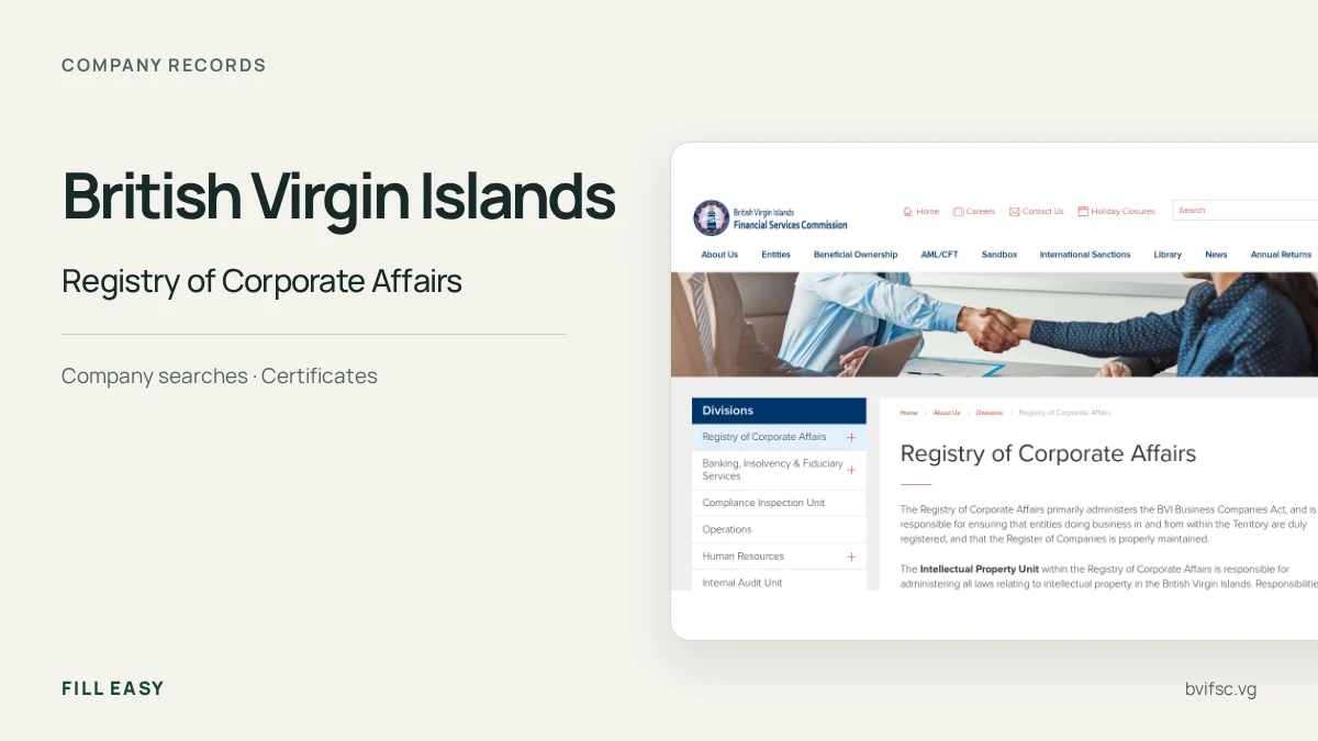 British Virgin Islands company-records guide with a capture of Registry of Corporate Affairs and record names.